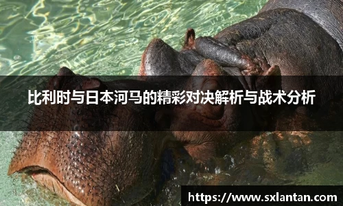 比利时与日本河马的精彩对决解析与战术分析