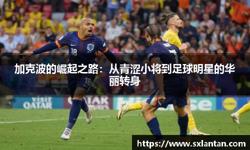 bsports官网入口