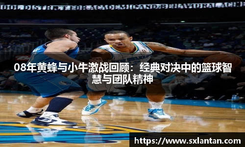 08年黄蜂与小牛激战回顾：经典对决中的篮球智慧与团队精神
